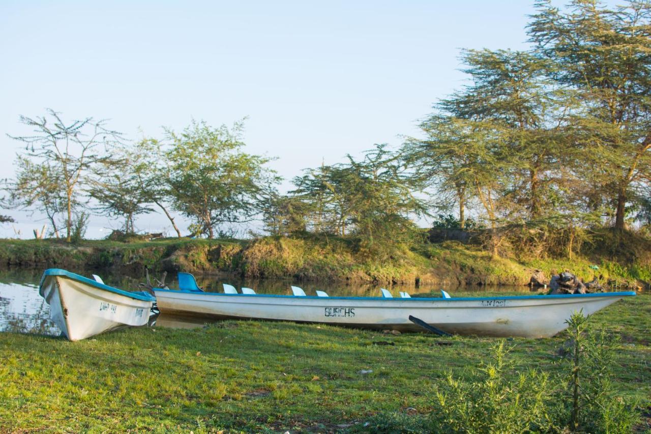 Burch'S Resort Naivasha Camping Exterior foto