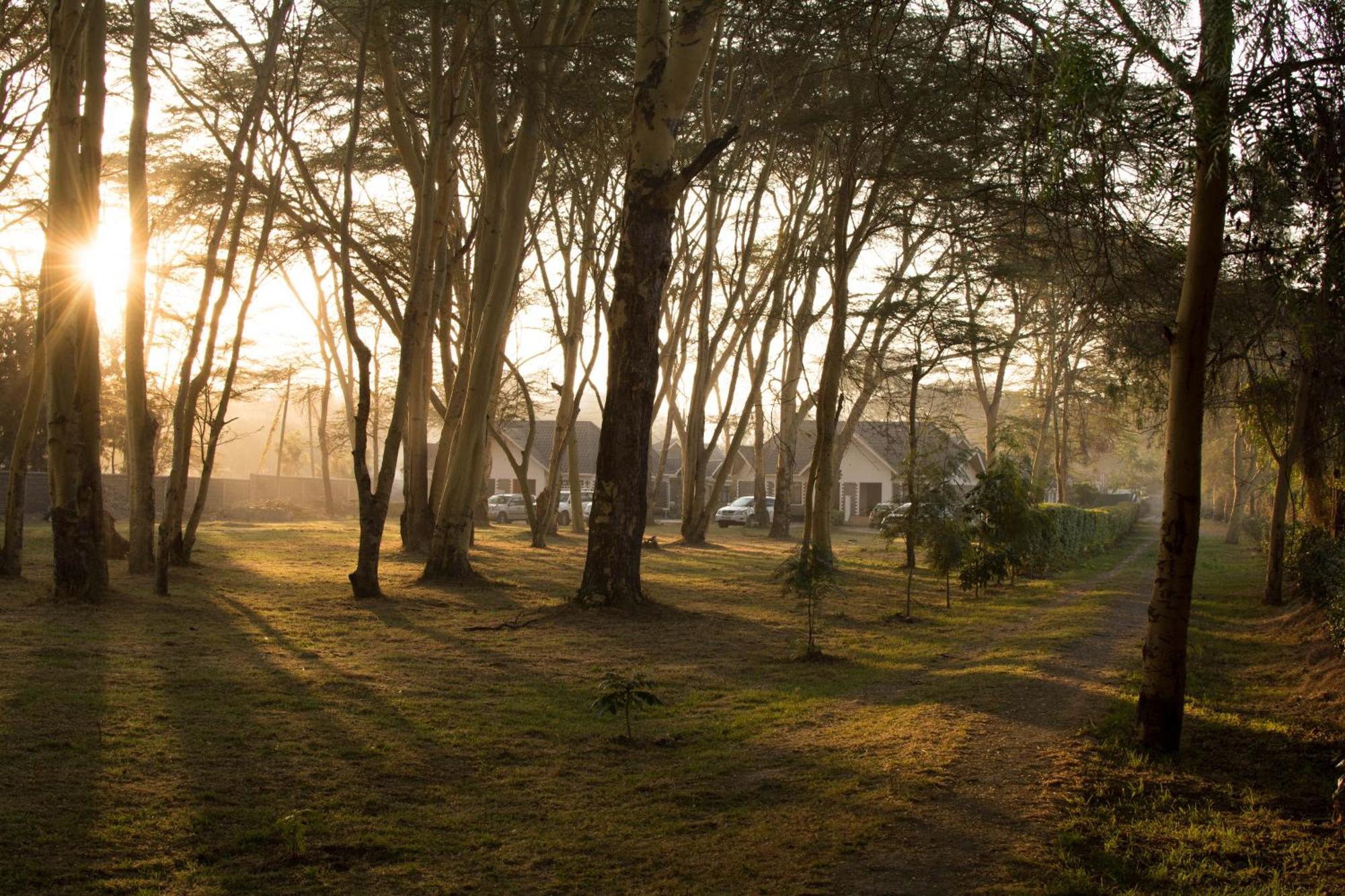 Burch'S Resort Naivasha Camping Exterior foto